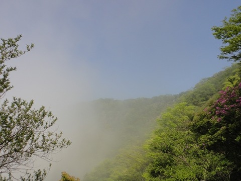 DSC03761_R
