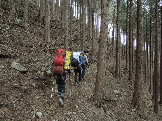 DSCN0738_R