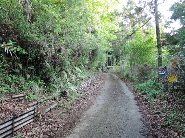 DSCN9810_R