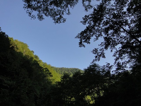 DSC04664