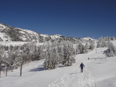 DSC06614_R