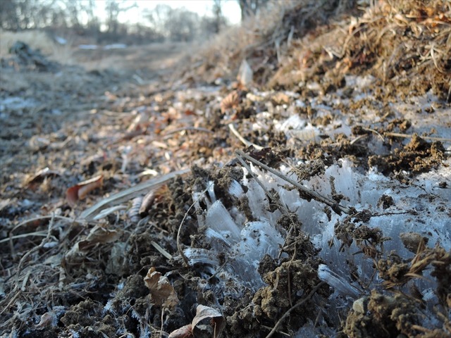 DSCN4095_R