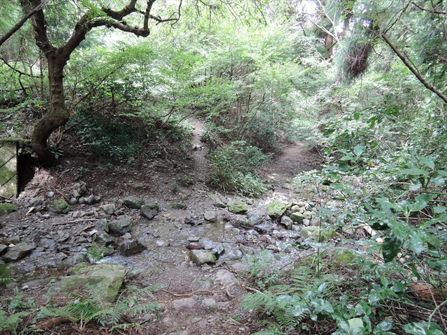 DSCN3307_R