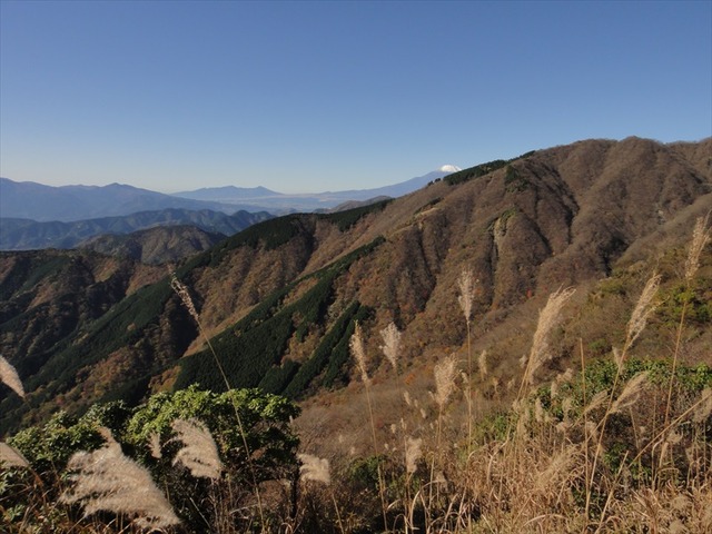 DSC09661_R
