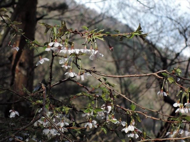 DSCN7283_R