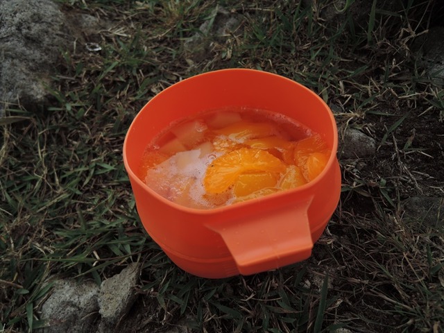 DSCN7909_R