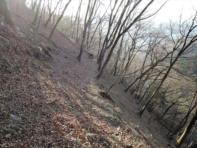 DSCN4099_R