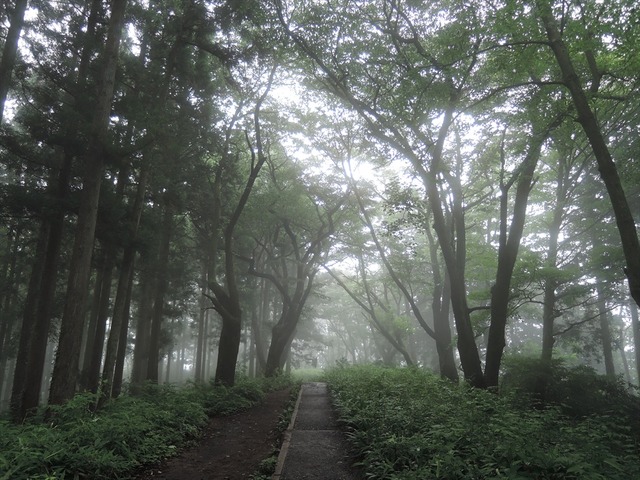 DSCN4203_R