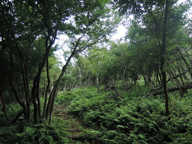 DSCN7864_R