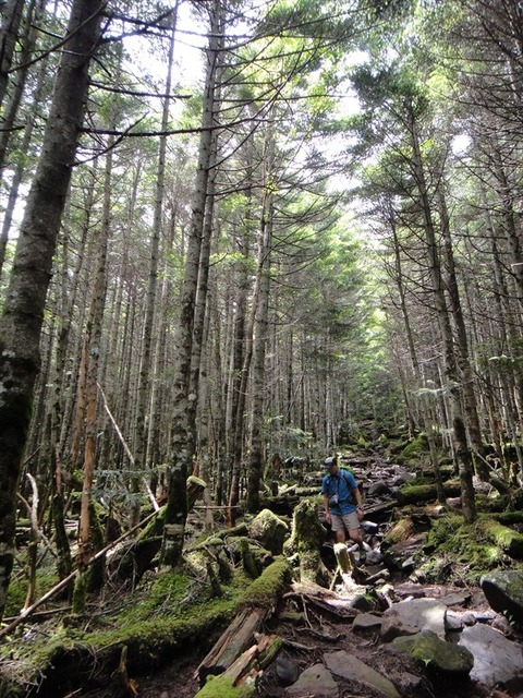 DSC08230_R