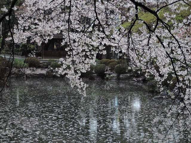 DSCN1097_R