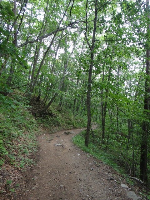 DSC04638