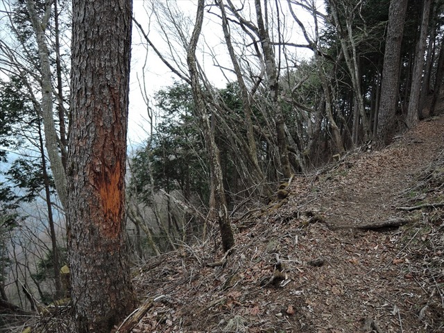 DSCN1416_R