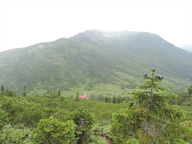 DSCN3009_R
