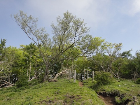 DSC03763_R