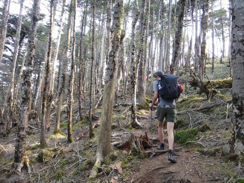DSC07655_R