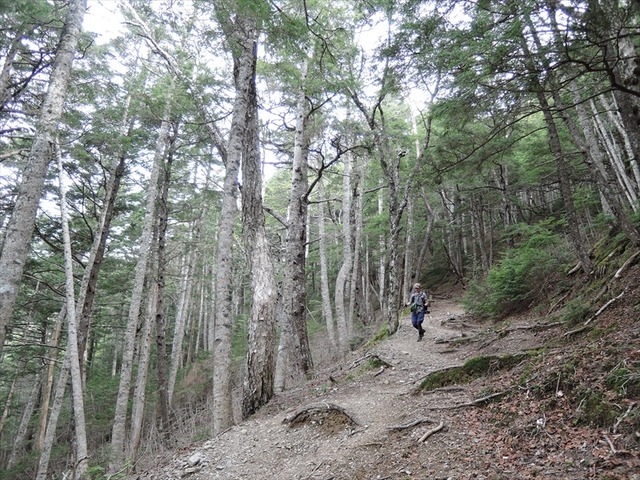 DSCN2131_R