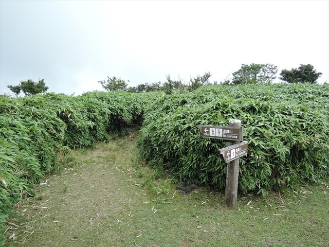 DSCN7896_R