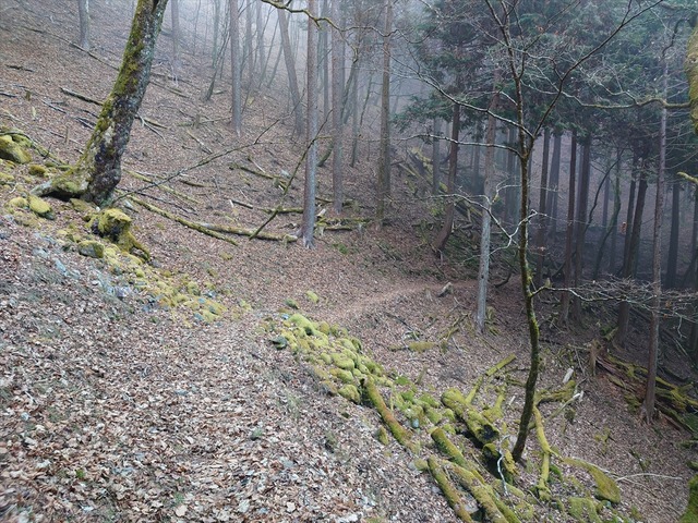 20201205_122914_R