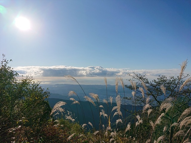 DSC_4091_R