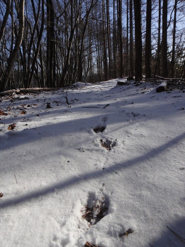 DSC00329_R