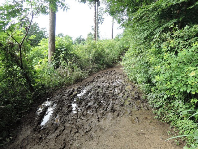 DSCN4190_R