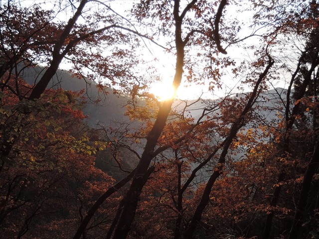 DSCN6626_R