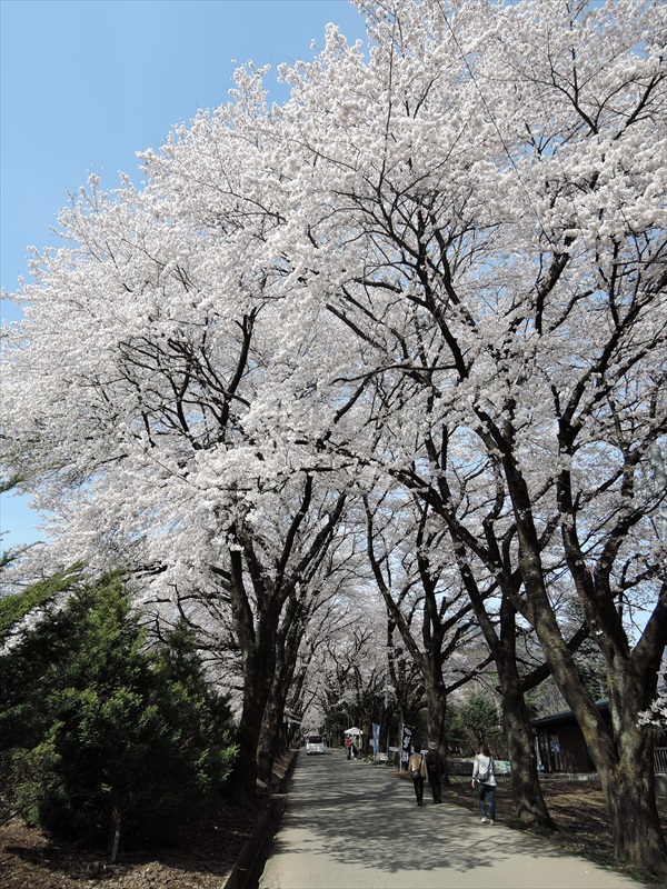 DSCN1245_R