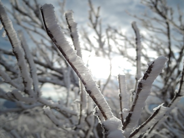 DSCN4221_R