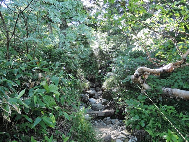 DSCN3119_R