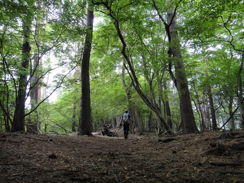 DSC03737_R