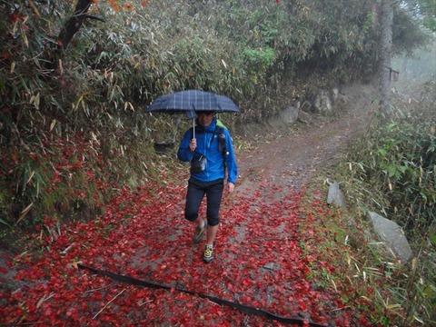 DSC09427_R