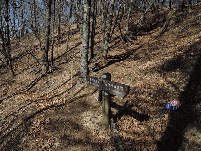 DSCN3981_R