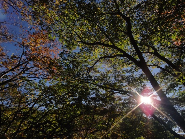 DSC09632_R