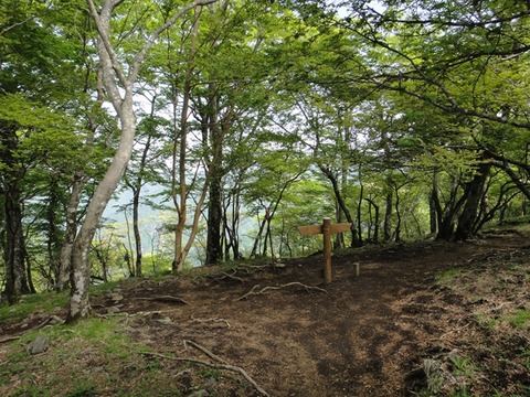 DSC03764_R