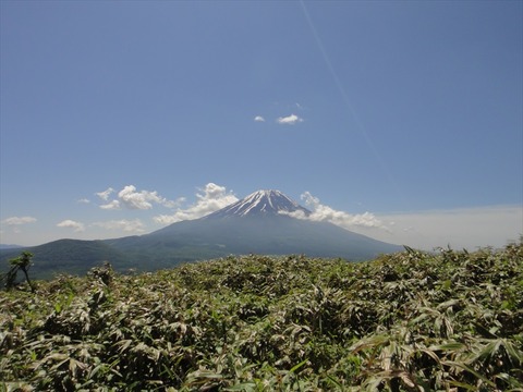 DSC07742_R