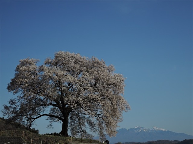 DSCN1200_R