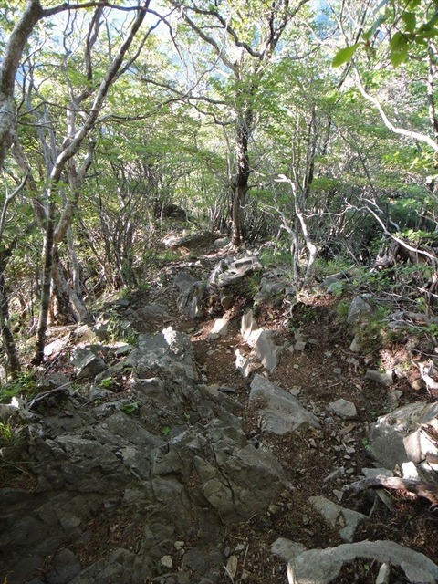 DSC07888_R