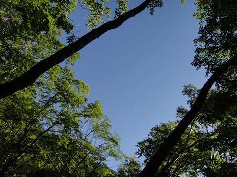 DSC07899_R