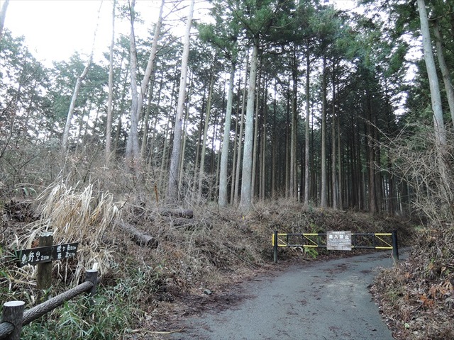 DSCN0524_R