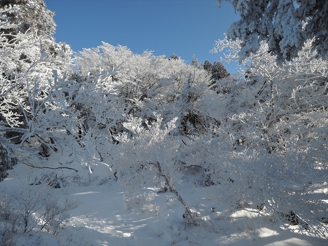 DSCN3802_R