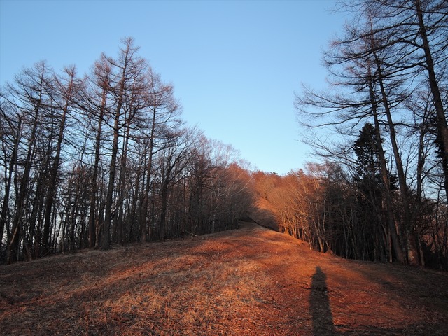 DSCN4046_R