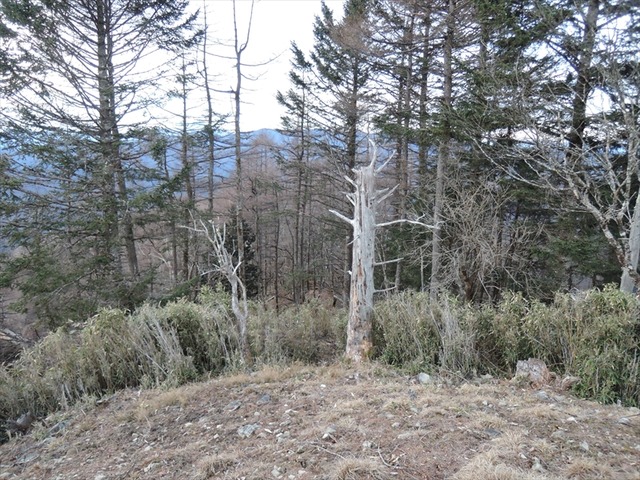 DSCN9306_R