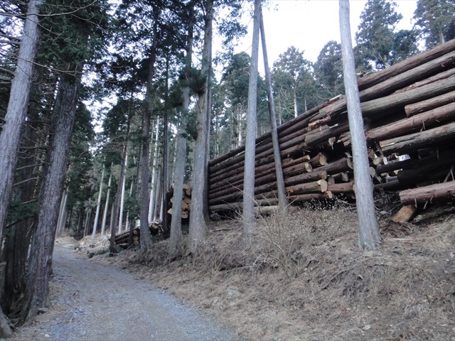 DSC00957_R