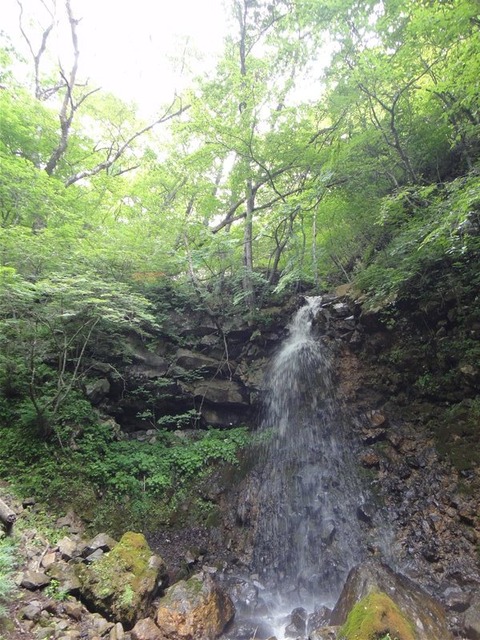 DSC04635