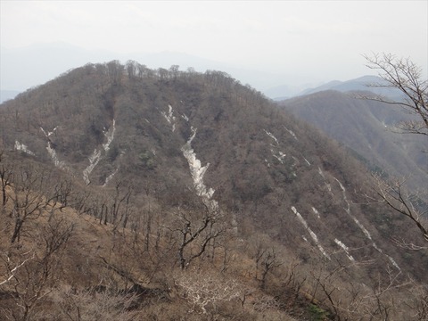 DSC06890_R