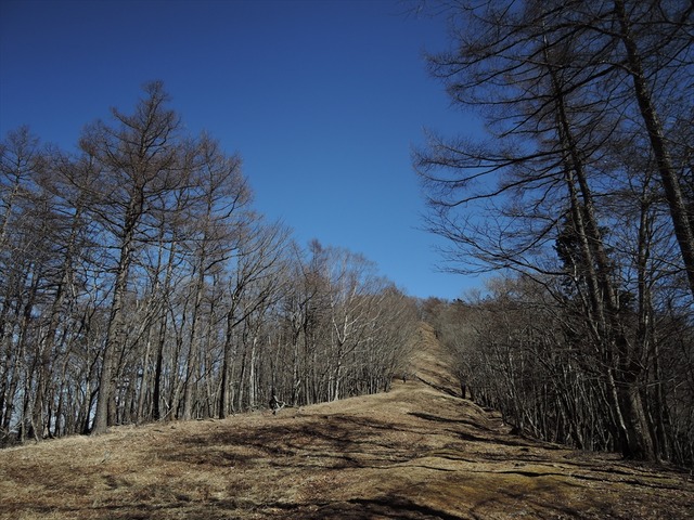 DSCN4013_R