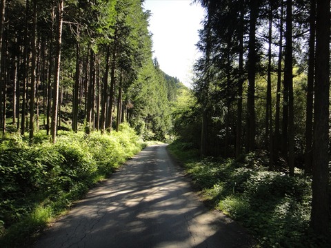 DSC07910_R