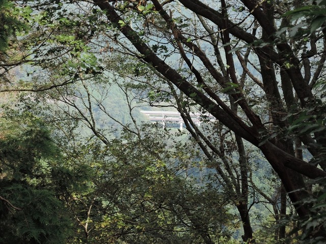 DSCN3292_R