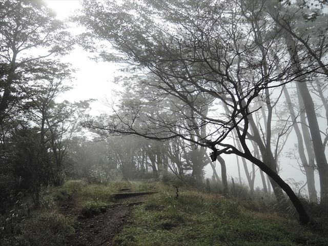 DSCN5982_R